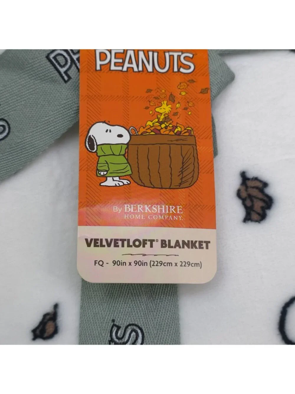 Peanuts Snoopy Velvetloft Plush Queen Blanket 90